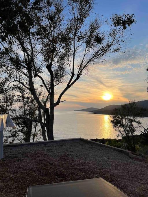 Appartement 2 Personnes Bord De Mer Sagone  Dış mekan fotoğraf